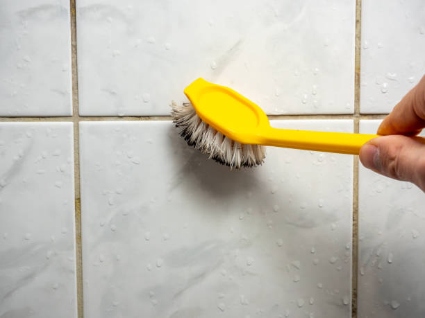 Best Local Mold Removal Service  in Clinton, MI