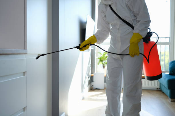 Certified Mold Removal in Clinton, MI