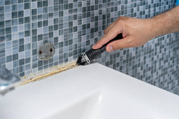 Professional Mold Removal in Clinton, MI